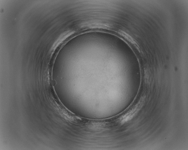 X0000067370782200603311144
