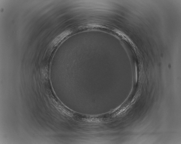 X0000067370785200603311144