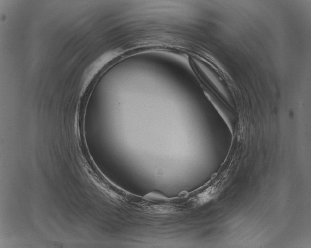 X0000067370788200603311144