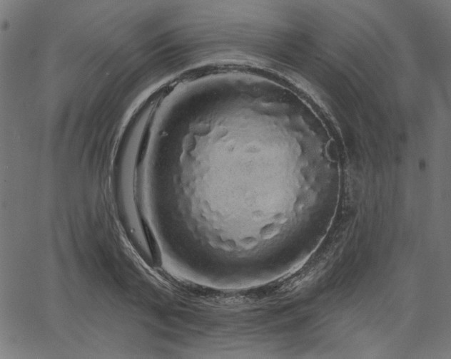 X0000067370791200603311144