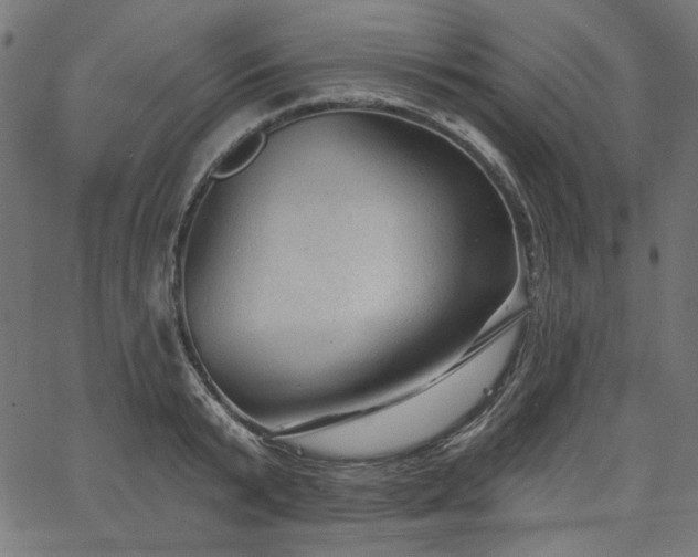 X0000067370799200603311144