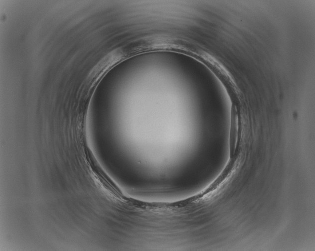 X0000067370801200603311144