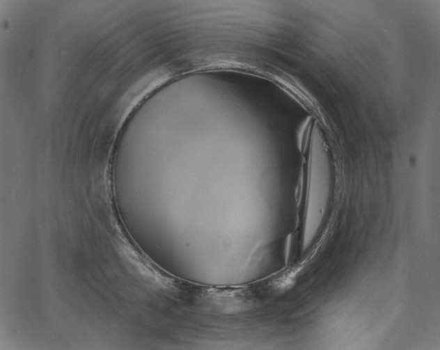 X0000067370806200603311144