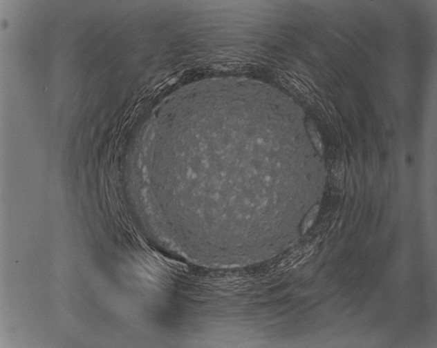 X0000067370817200603311143