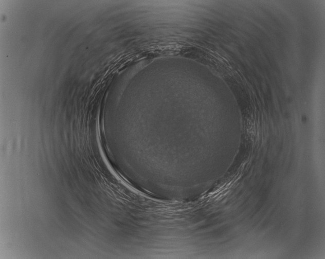 X0000067370818200603311143