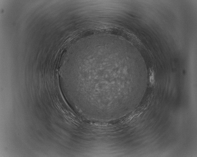 X0000067370819200603311143