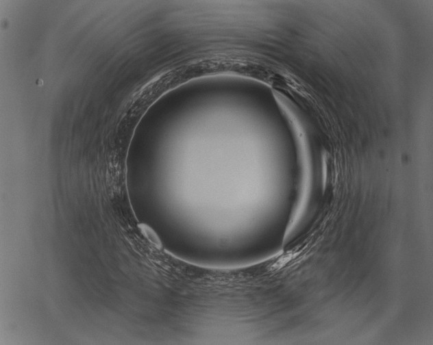 X0000067370822200603311143