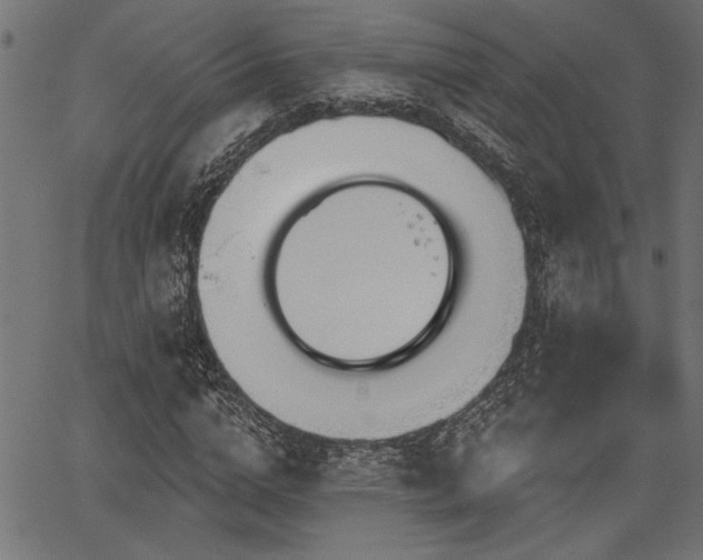 X0000067370824200603311143