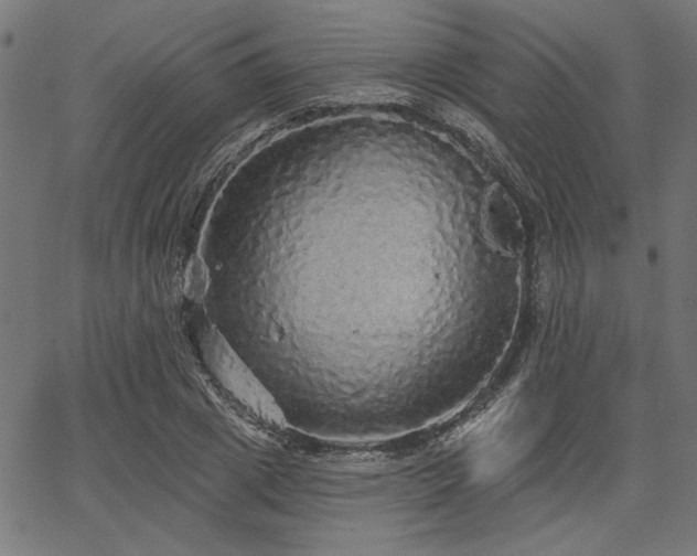X0000067370833200603311143