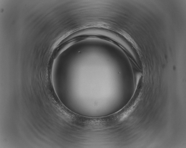 X0000067370834200603311143