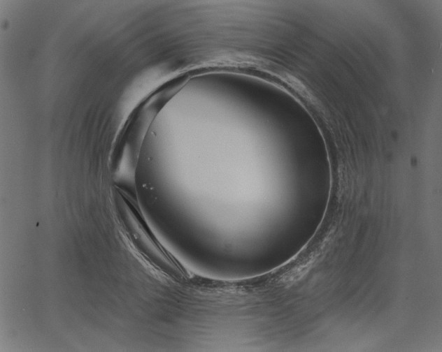 X0000067370838200603311143