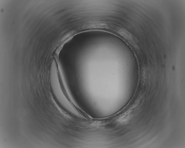 X0000067370841200603311143