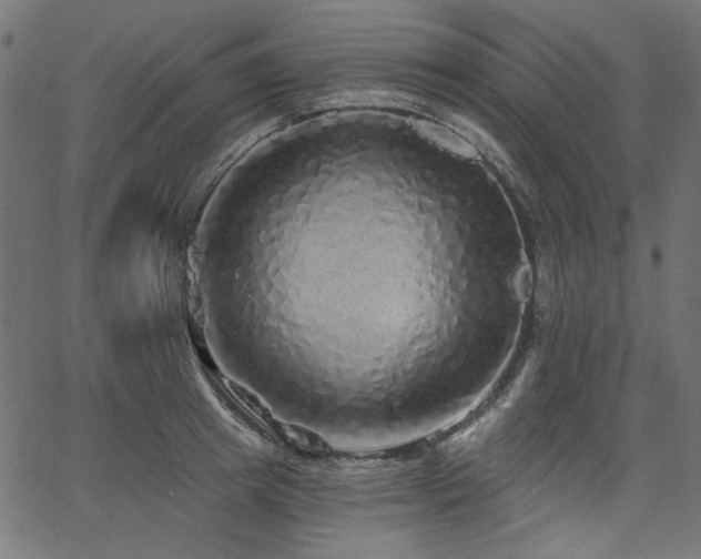 X0000067370849200603311143