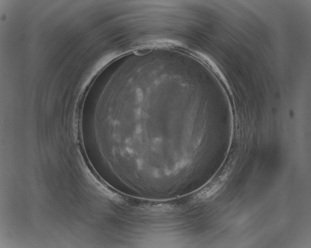X0000067370851200603311143