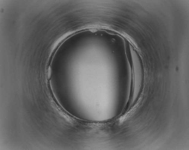 X0000067370854200603311143