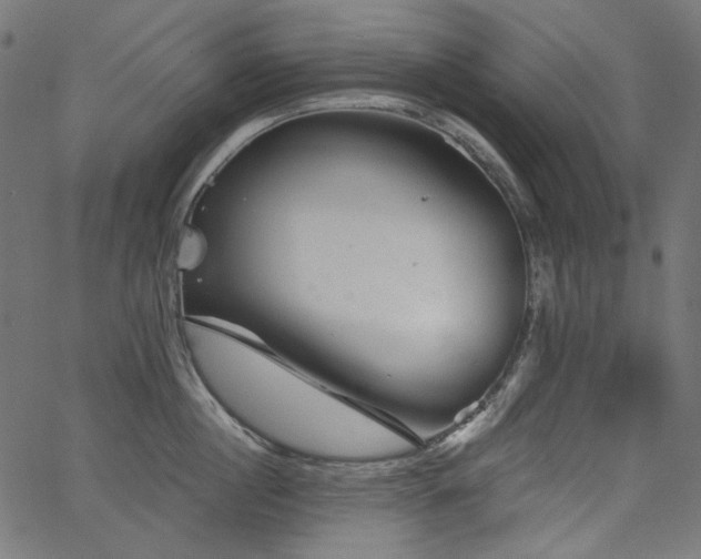X0000067370860200603311143