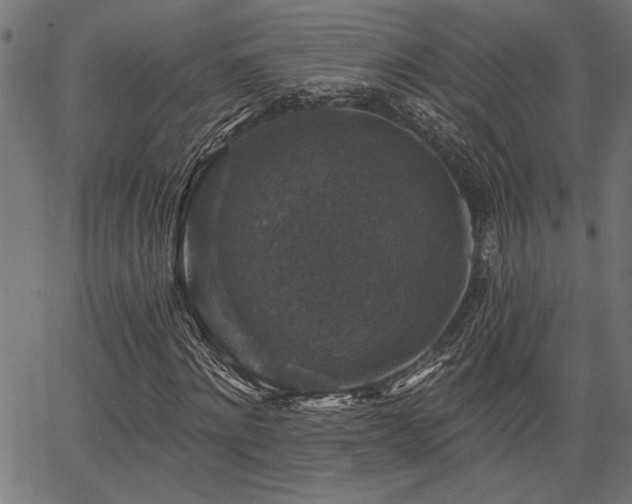 X0000067370868200603311143