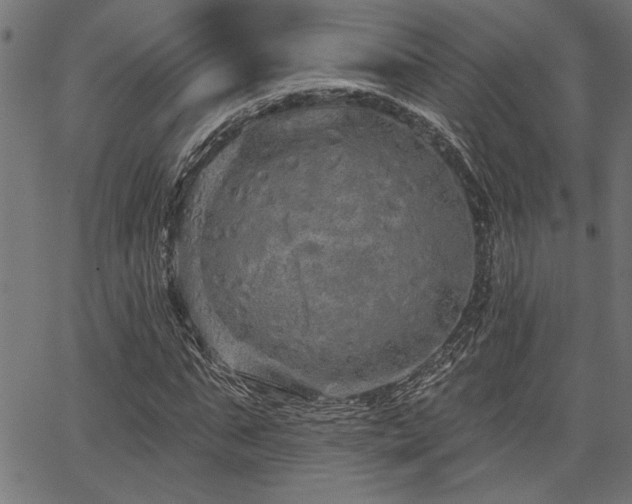 X0000067370871200603311143
