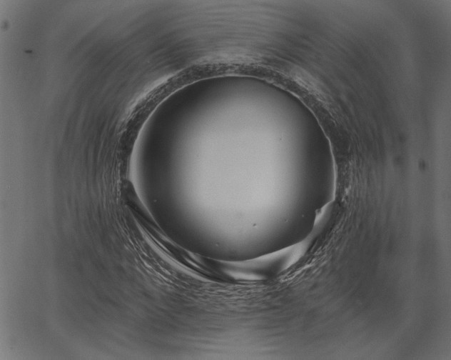 X0000067370872200603311143