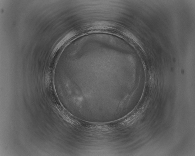 X0000067370874200603311143