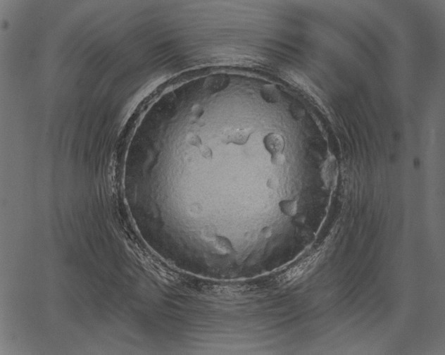 X0000067370875200603311143