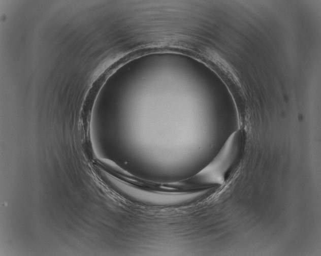 X0000067370876200603311143