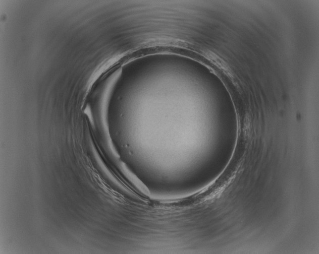 X0000067370877200603311143