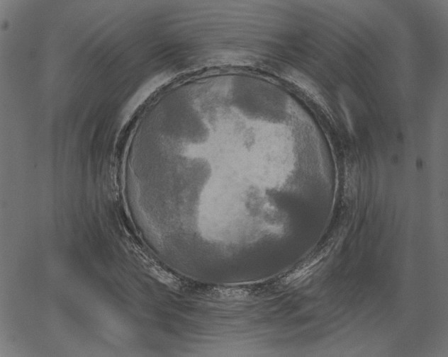 X0000067370878200603311143