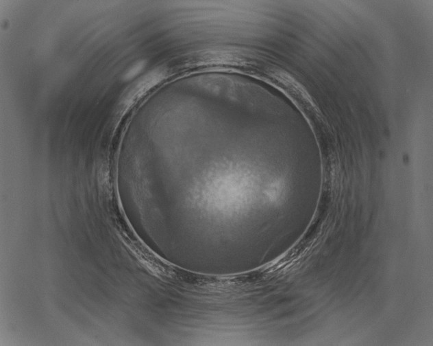 X0000067370882200603311142