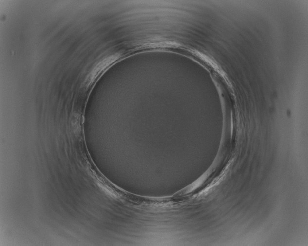 X0000067370889200603311142