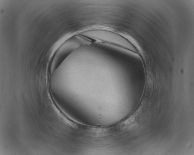 X0000067370910200603311142