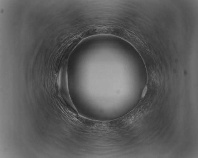 X0000067370914200603311141