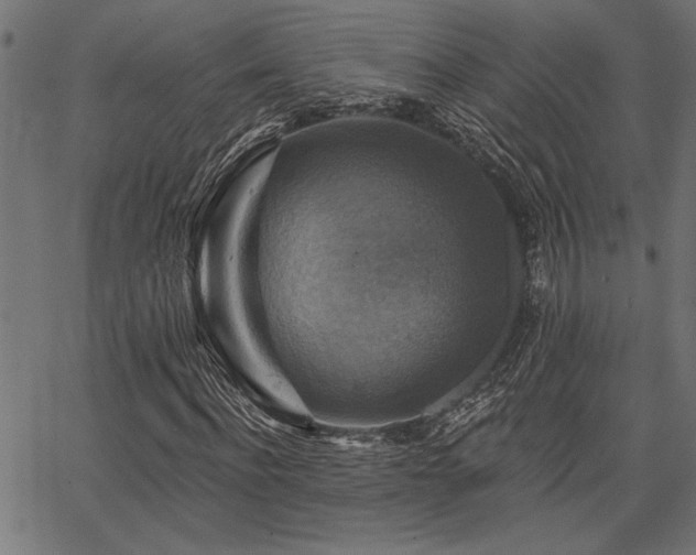 X0000067370916200603311141