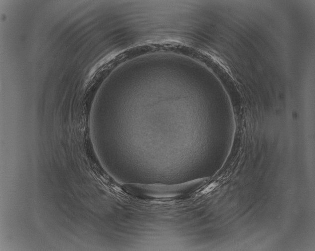 X0000067370920200603311141