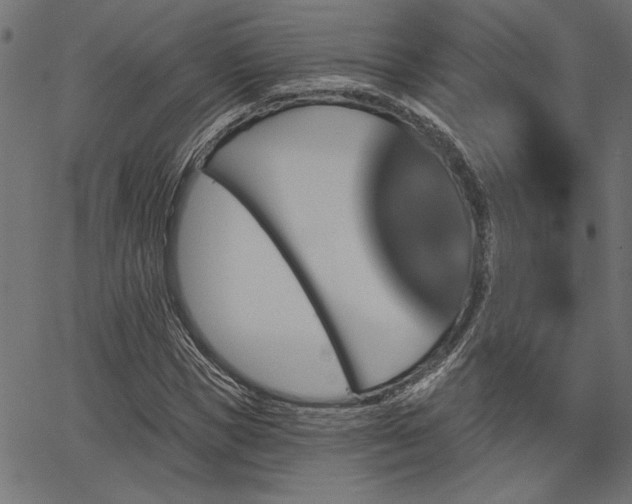 X0000067370921200603311141