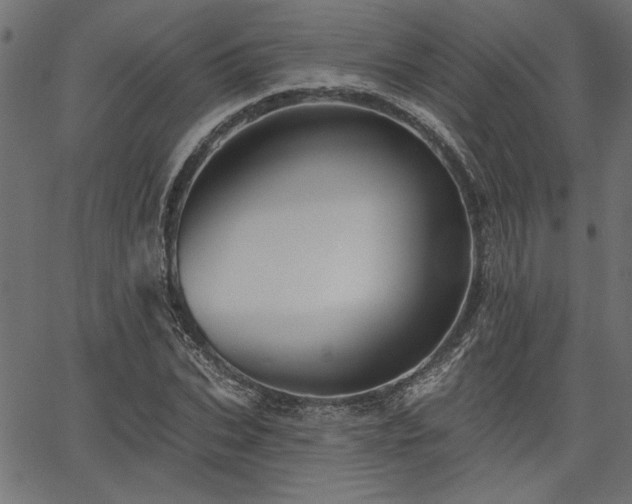 X0000067370927200603311141