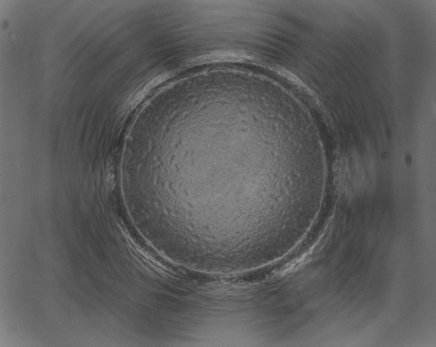X0000067370929200603311141