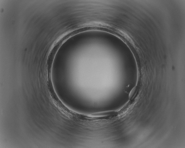 X0000067370931200603311141
