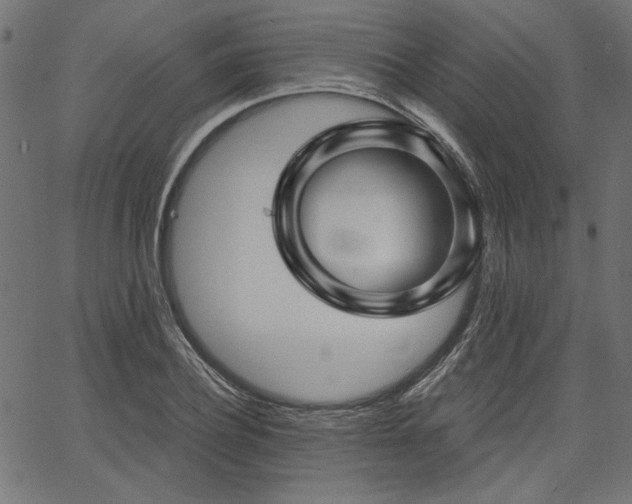 X0000067370932200603311142