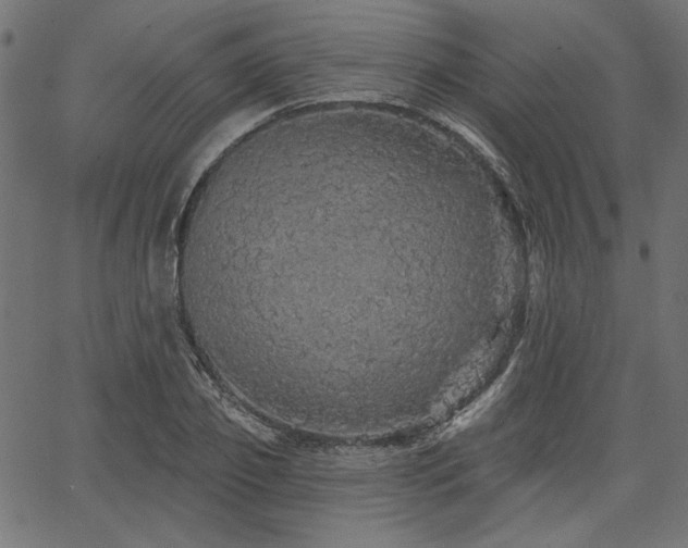 X0000067370933200603311142