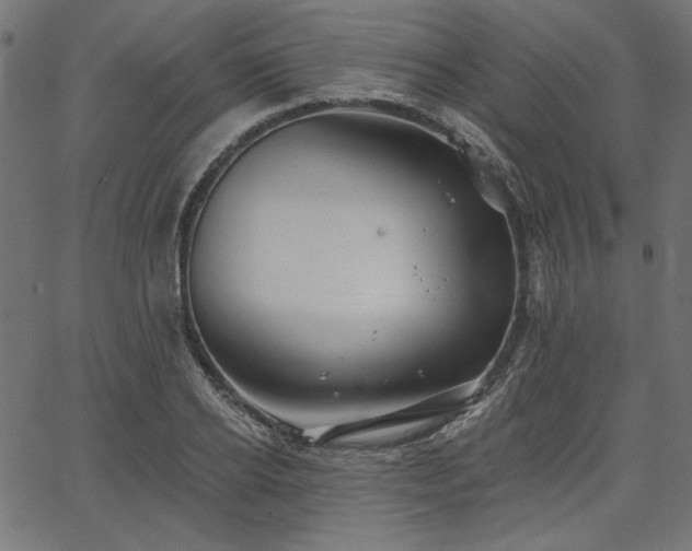 X0000067370934200603311142
