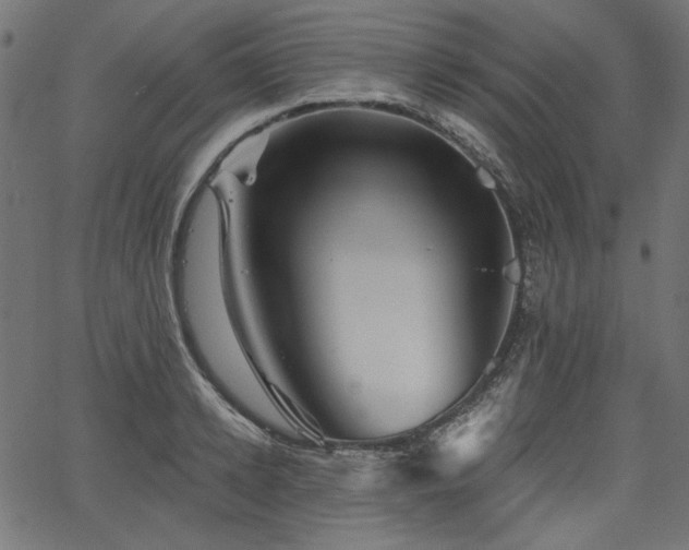 X0000067370942200603311142