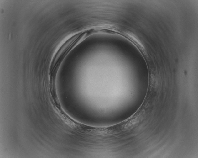 X0000067370948200603311142