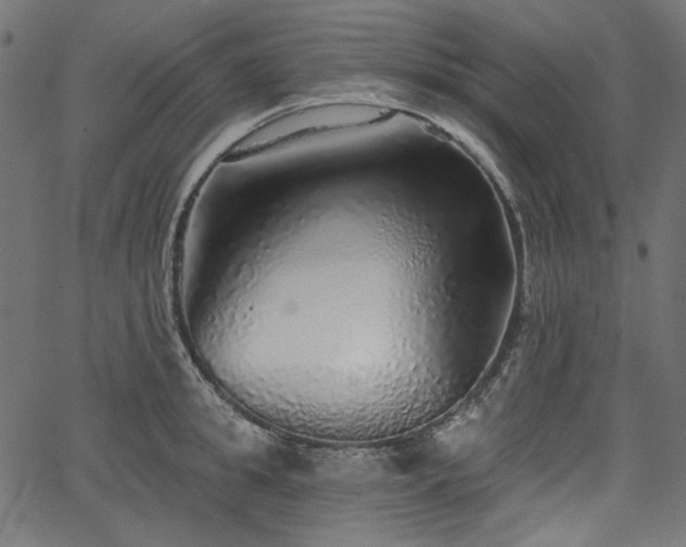 X0000067370949200603311142