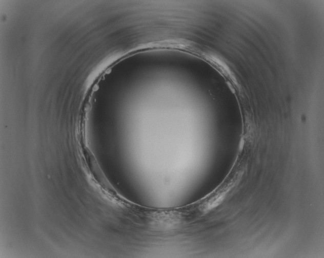 X0000067370952200603311142