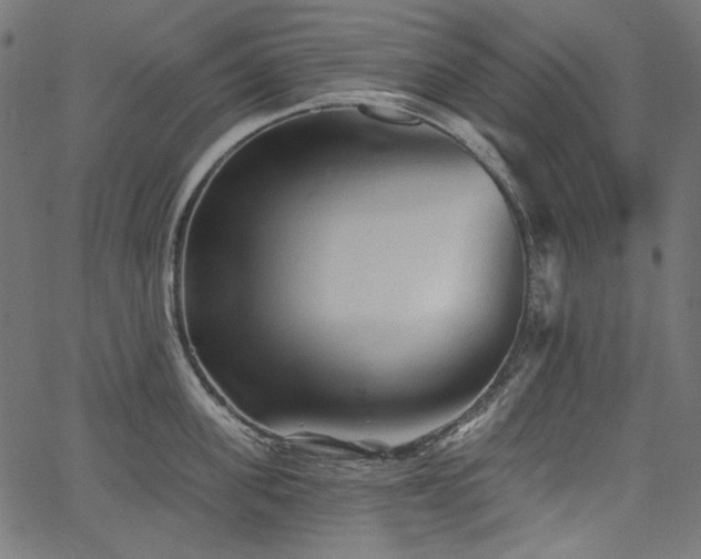 X0000067370955200603311142
