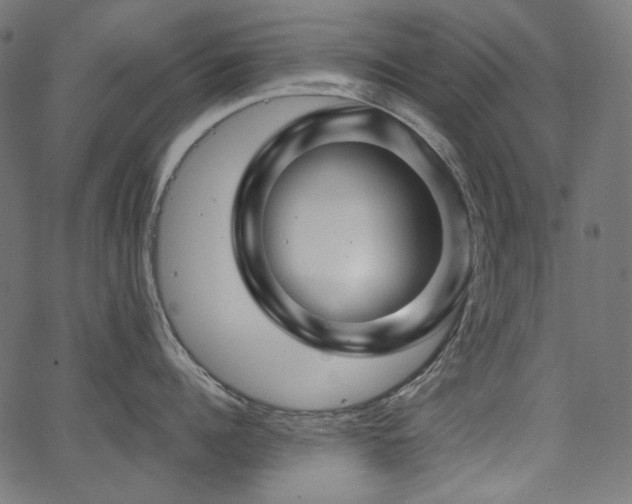 X0000067370960200603311142