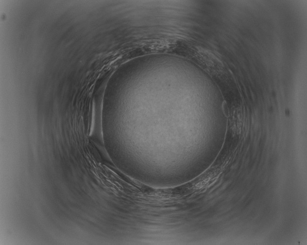 X0000067370962200603311141