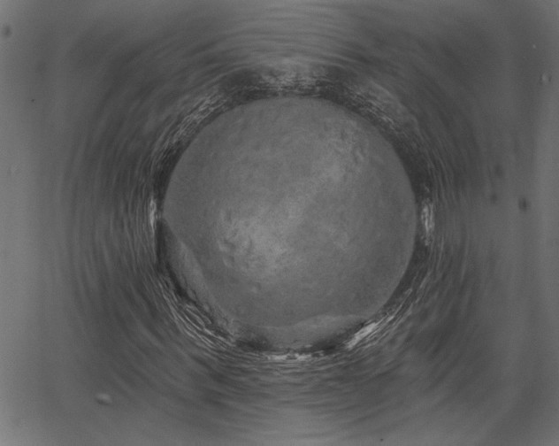 X0000067370963200603311141