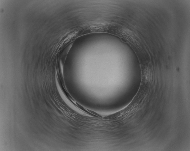 X0000067370964200603311141